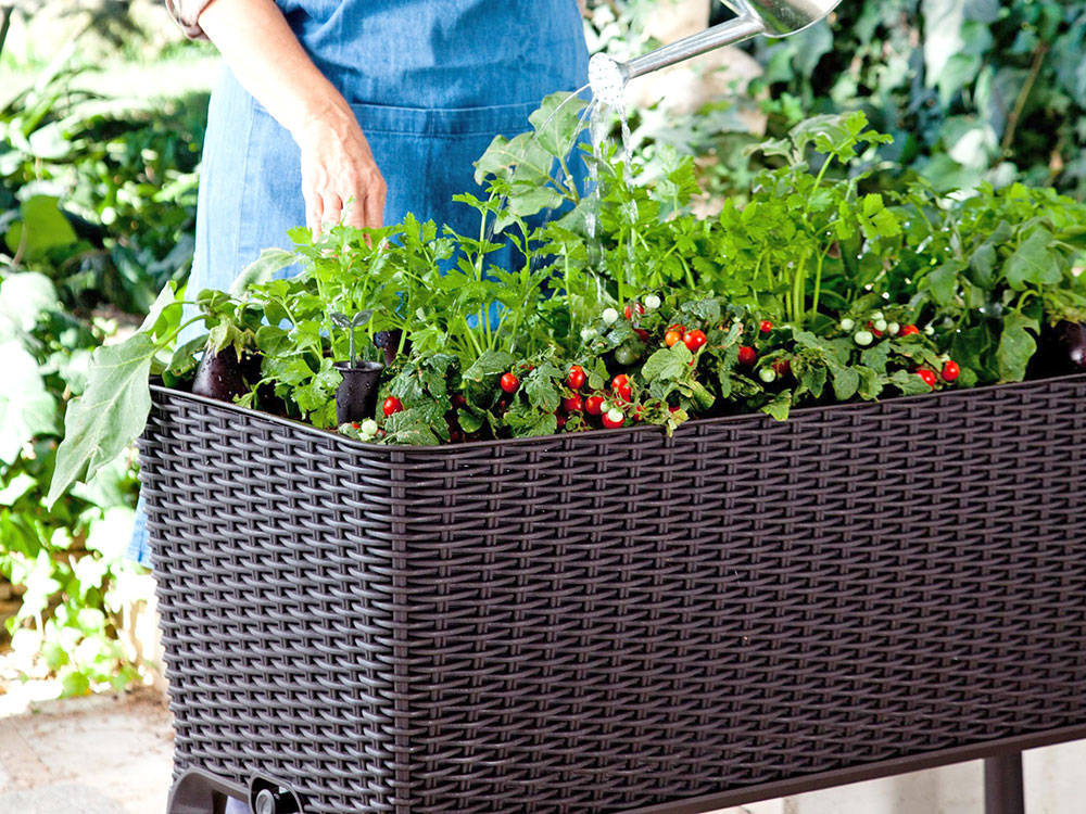 Садовая грядка Keter EASY GROWING 120л из пластика под ротанг